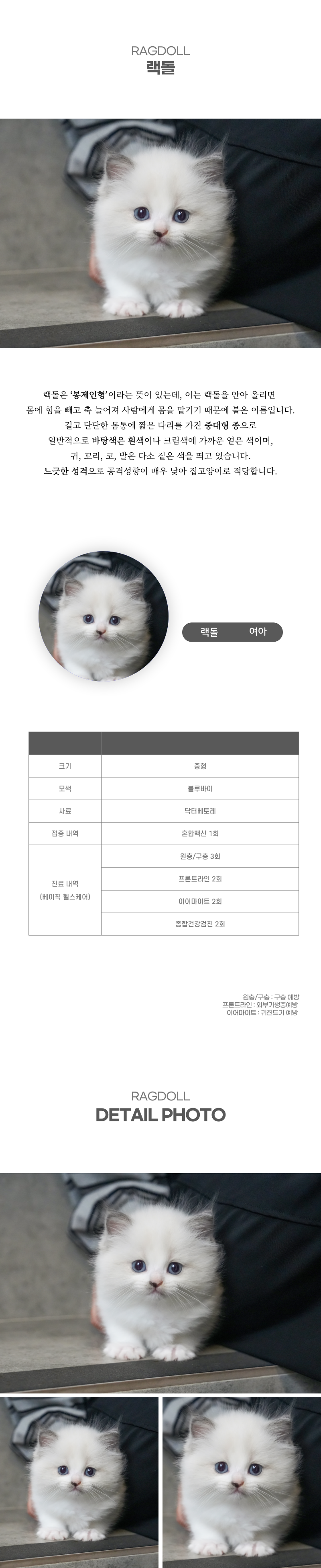 랙돌_상세이미지_2